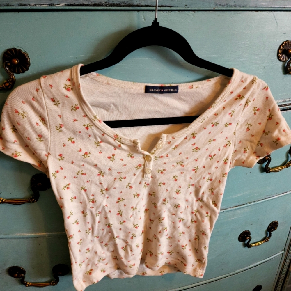 Brandy Melville Ditsy Flower Crop Top Size Small